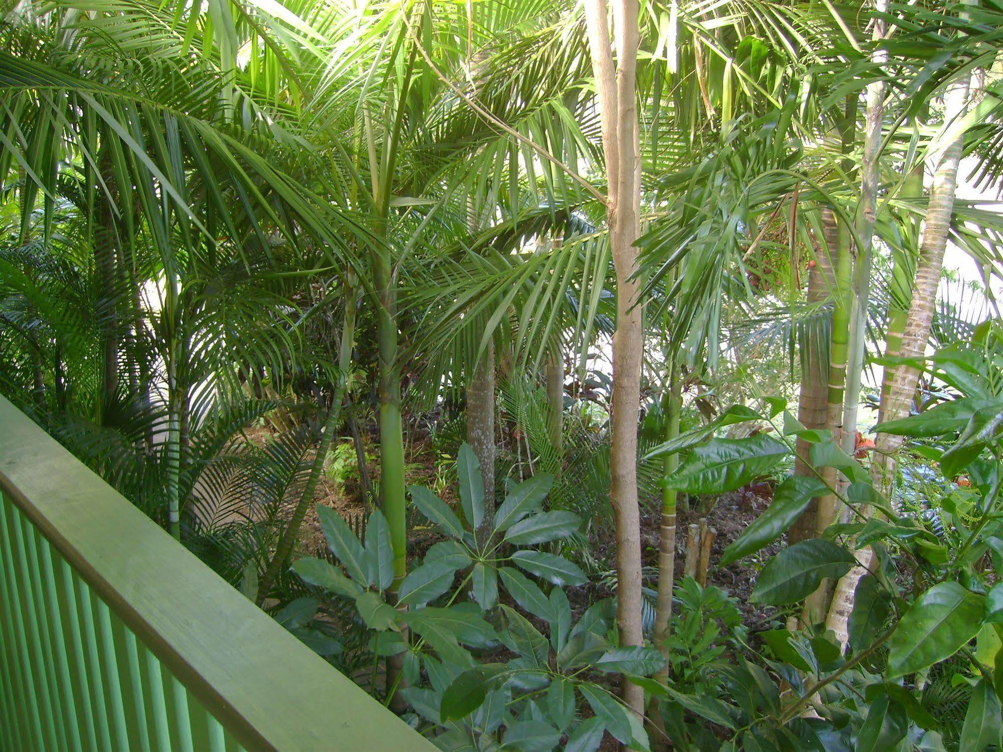 Tropical Nites Holiday Townhouses Port Douglas Exterior foto